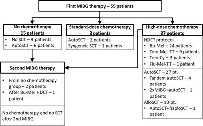Factors Modifying Outcome After MIBG Therapy in Children With Neuroblastoma—A National Retrospective Study